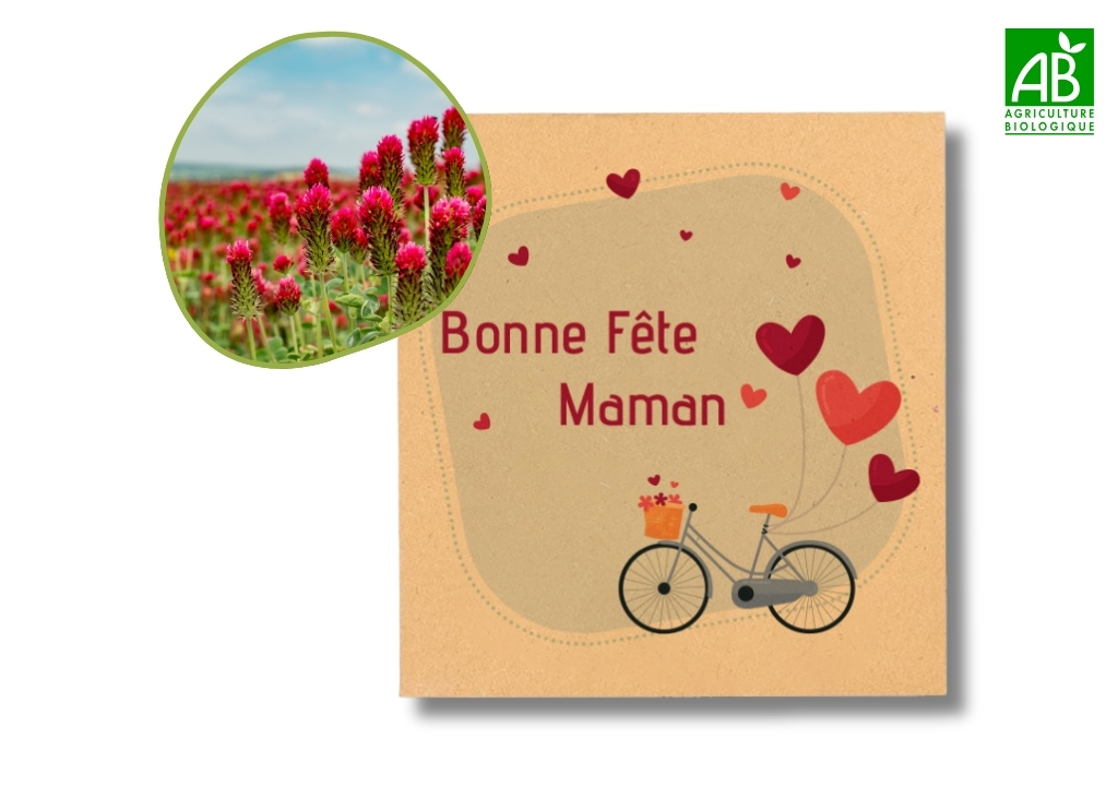 Sachet de graines fête des mères