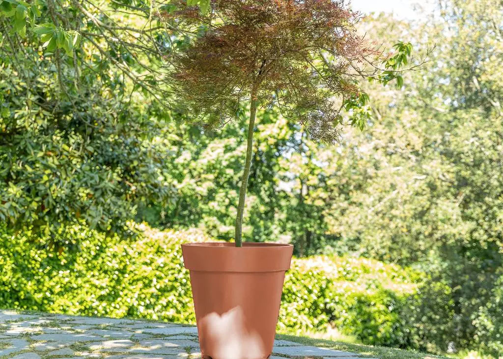 Grand pot de fleurs Nadine