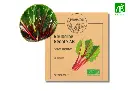 Rhubarbe Géante AB
