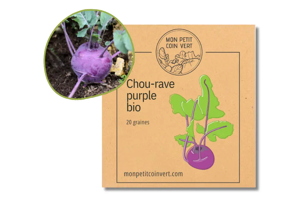 Chou-rave purple AB