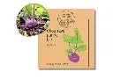 Chou-rave purple AB