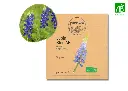 Lupin Bleu AB