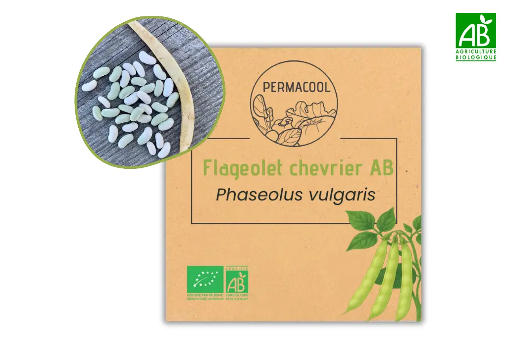 Haricot Flageolet chevrier AB