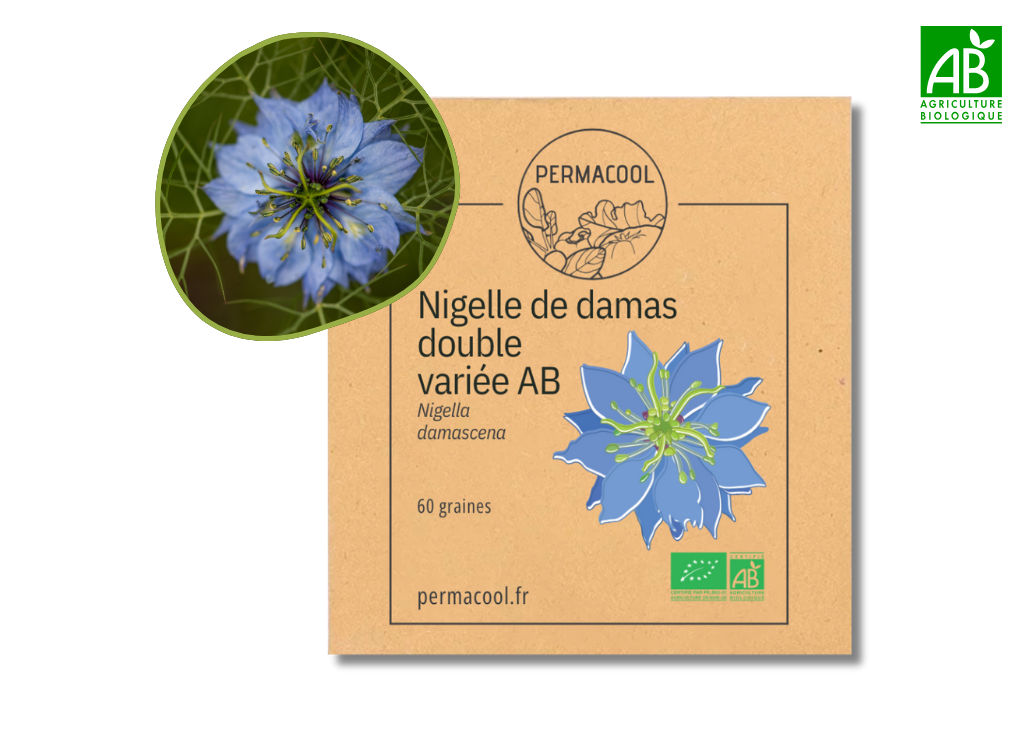 Nigelle de damas double variée AB