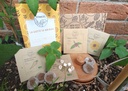 Coffret de jardinage "1, 2, 3 Soleil !" 
