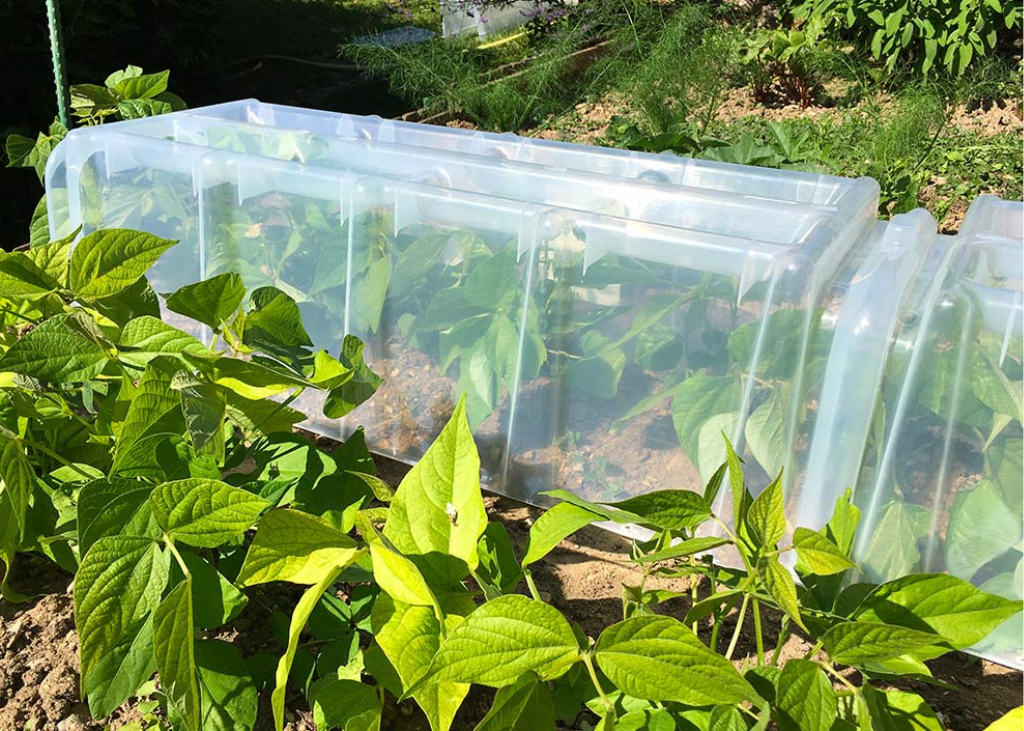 Serre de jardin - tunnel de forçage 105x39x30cm