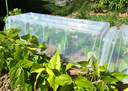 Serre de jardin - tunnel de forçage 105x39x30cm