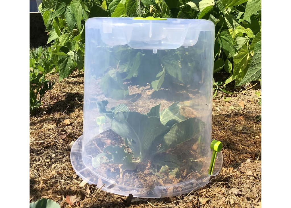 Cloches pour potager ø35 cm