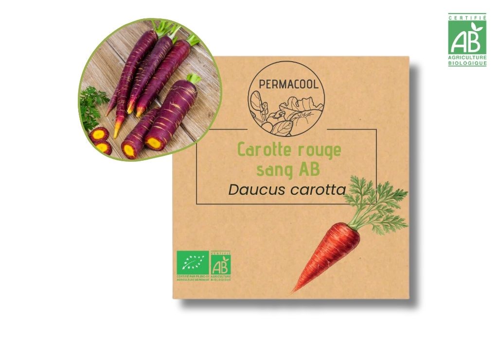 Carotte rouge sang AB