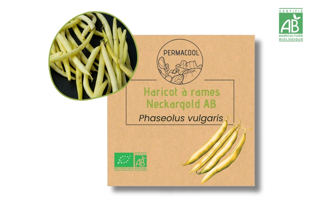 Haricot à rames mangetout Neckargold AB