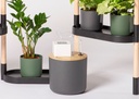 Système d'arrosage goutte à goutte automatique avec réservoir