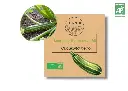 Courgette Romanesco AB