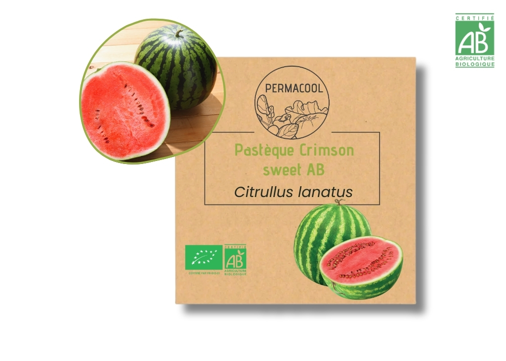 Pastèque Crimson sweet AB