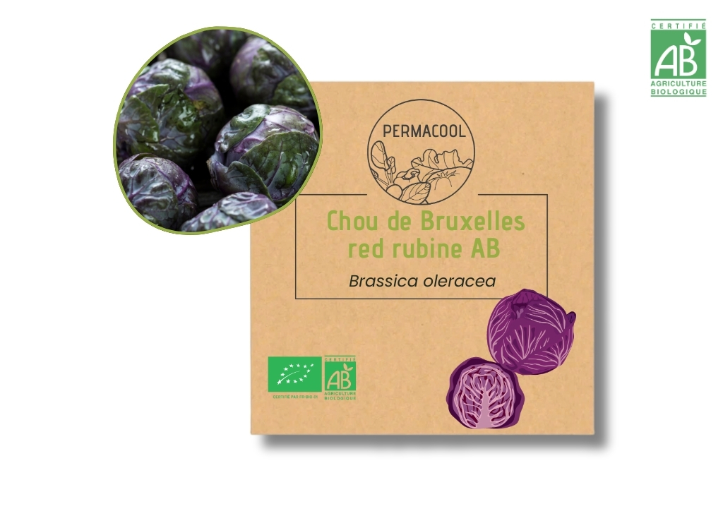 Chou de Bruxelles Rubine AB