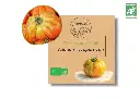 Tomate ananas AB