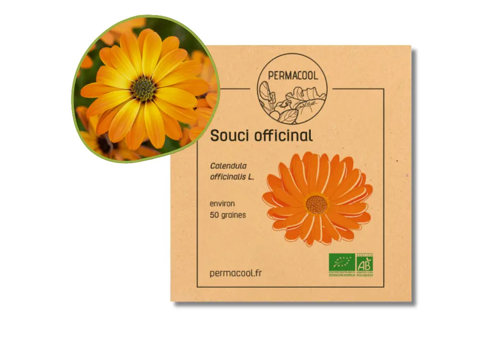 Souci des jardins AB DL