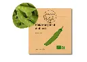 Pois Mangetout Ambrosia AB DL