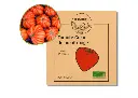 Tomate coeur de boeuf AB DL