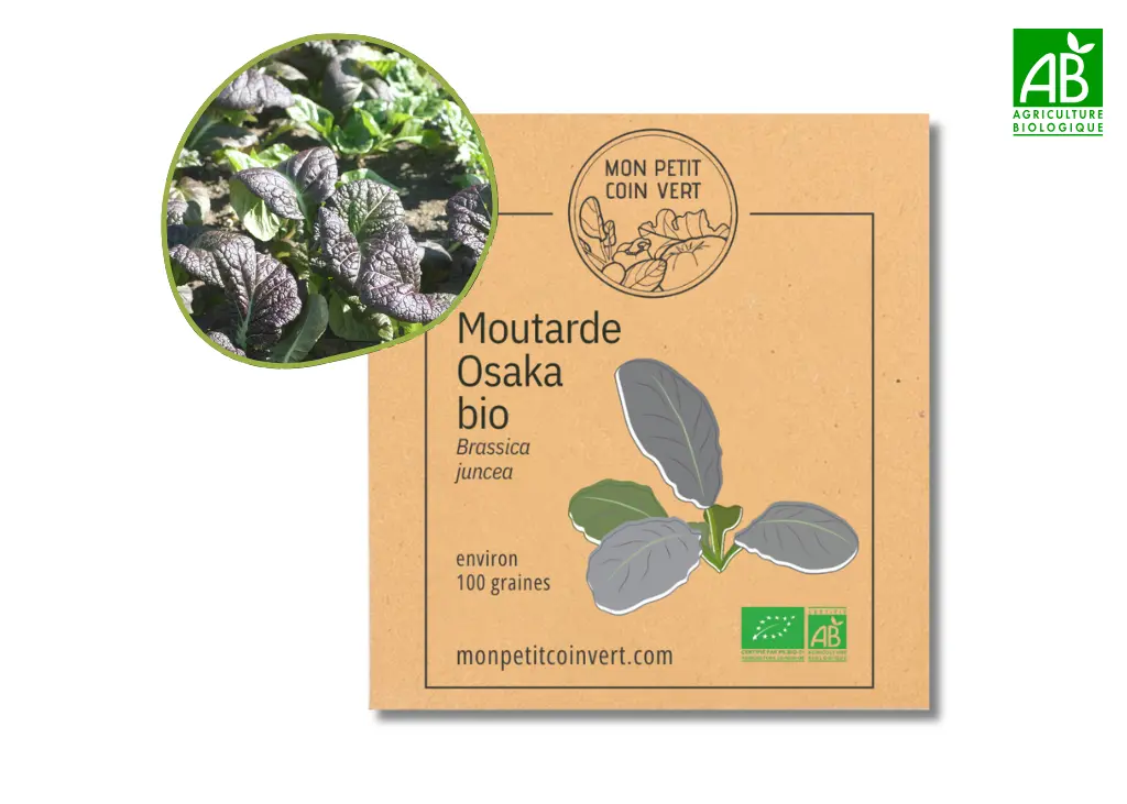 Moutarde Osaka AB DL