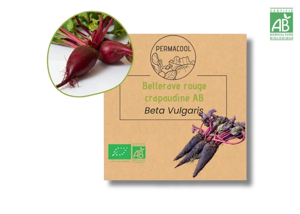 Betterave rouge Crapaudine AB