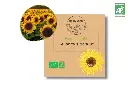 Tournesol AB DL