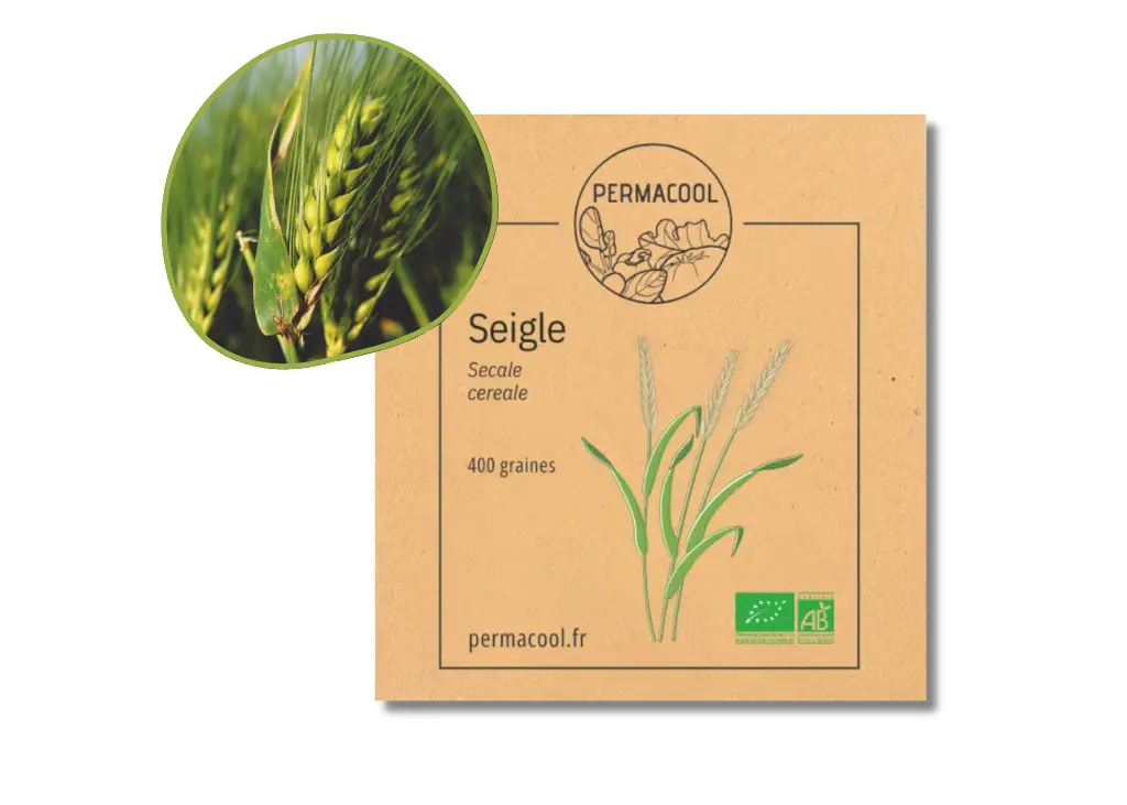 Seigle AB