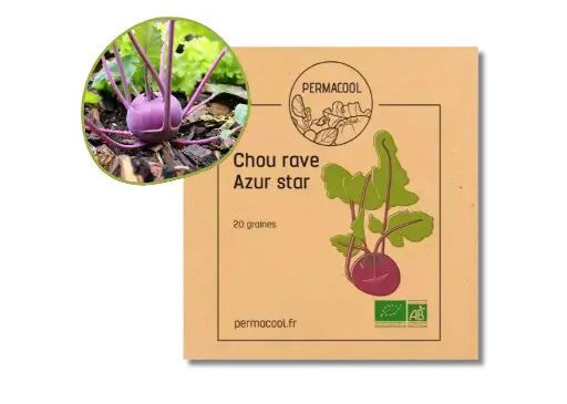 [PC-210DL] Chou-rave azur-star DL