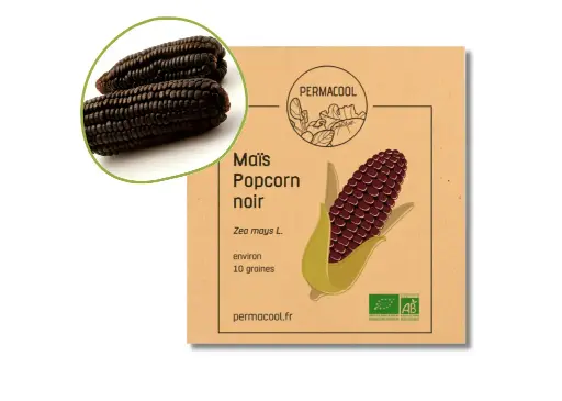 [PC-212DL] Maïs popcorn noir AB - DL