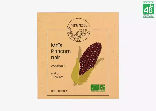 [PC-212DL] Maïs popcorn noir bio DL