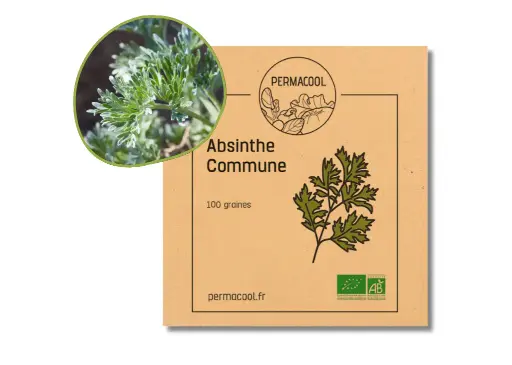 [PC-213DL] Absinthe commune AB - DL