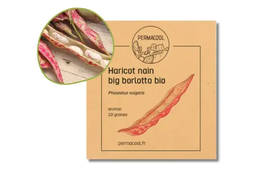 [PC-378DL] Haricot nain big borlotto AB - DL