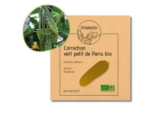 [PC-383DL] Cornichon Vert Petit De Paris AB - DL