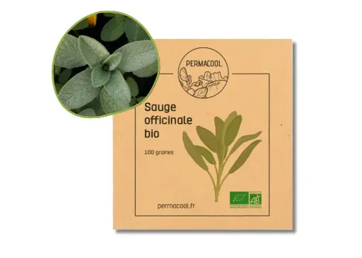 [PC-391DL] Sauge officinale AB - DL