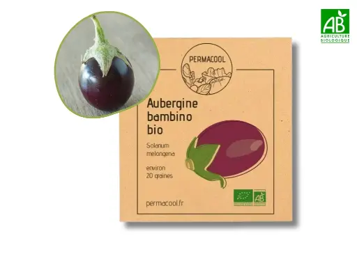 [PC-438DL] Aubergine bambino AB - DL