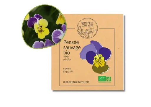 [PC-464DL] Pensée sauvage AB - DL