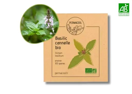 [PC-470DL] Basilic cannelle AB - DL