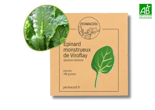[PC-474DL] Épinard monstrueux de Viroflay DL