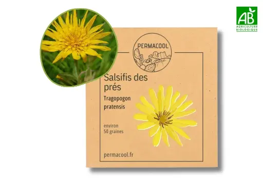 [PC-476DL] Salsifis des prés NT - DL