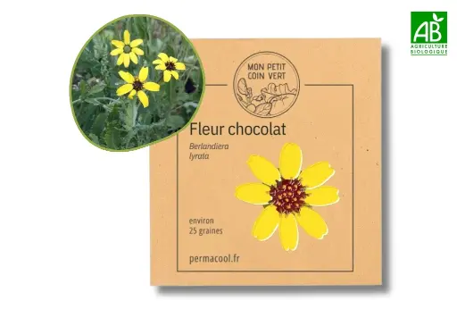 [PC-624DL] Fleur chocolat DL