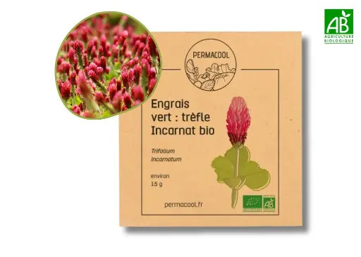 [PC-674DL] Trèfle Incarnat bio DL