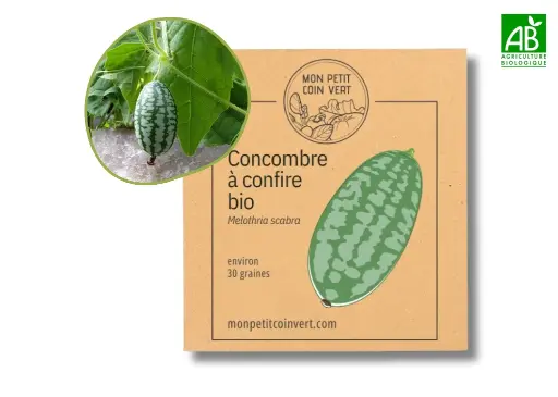 [PC-942DL] Concombre à confire AB - DL