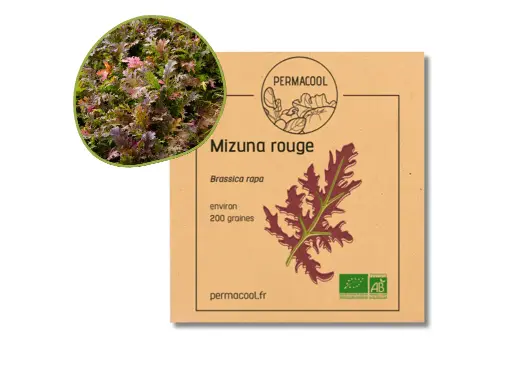 [PC-296DL] Mizuna rouge AB - DL