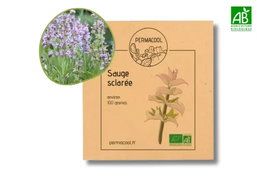 [PC-297DL] Sauge Sclarée AB - DL