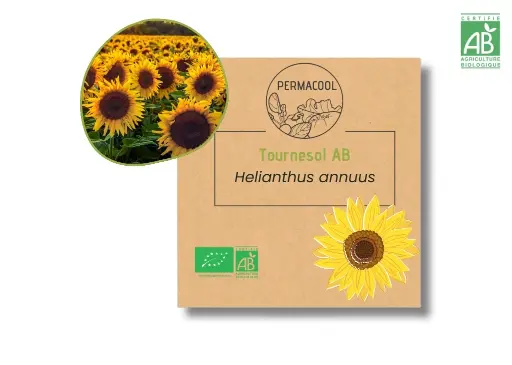[PC-115] Tournesol AB