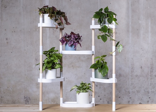 [DROP-117] Étagère pour plantes 6 plateaux avec arrosage