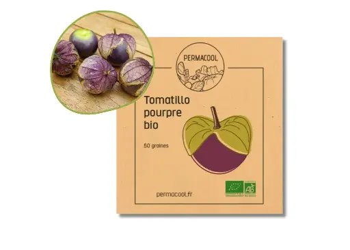 [PC-194] Physalis - Tomatillo pourpre AB