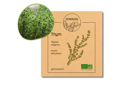 [PC-203] Thym commun AB