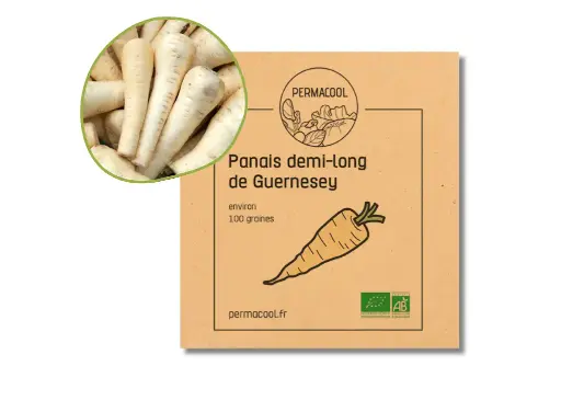 [PC-207] Panais demi-long de guernesey AB