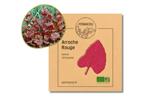 [PC-209] Arroche rouge AB