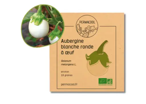 [PC-211] Aubergine blanche ronde oeuf AB